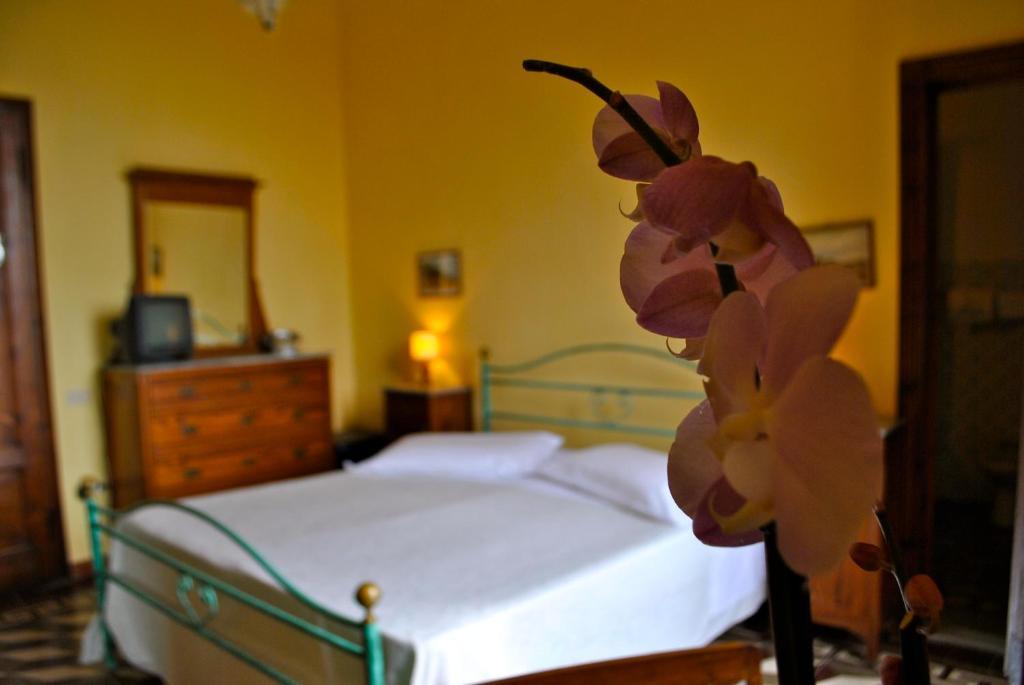 Albergo Miramare Castiglioncello Pokój zdjęcie