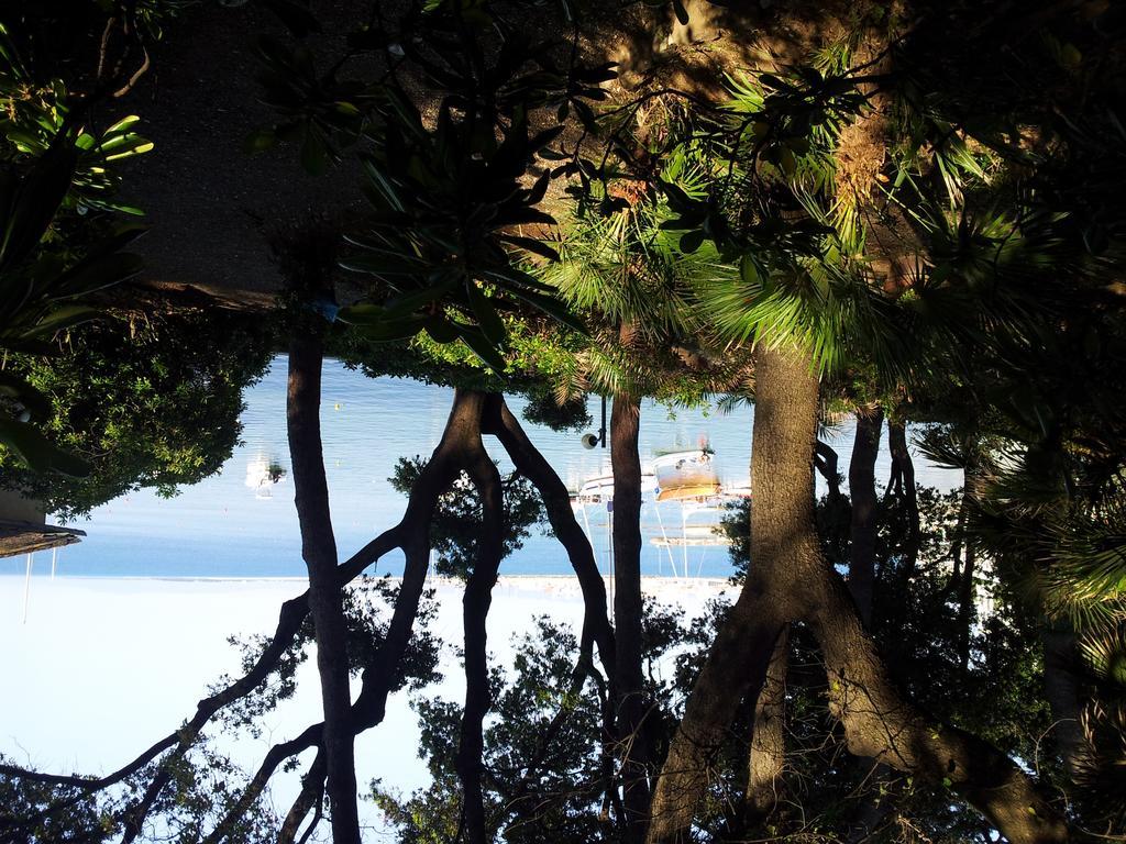 Albergo Miramare Castiglioncello Zewnętrze zdjęcie