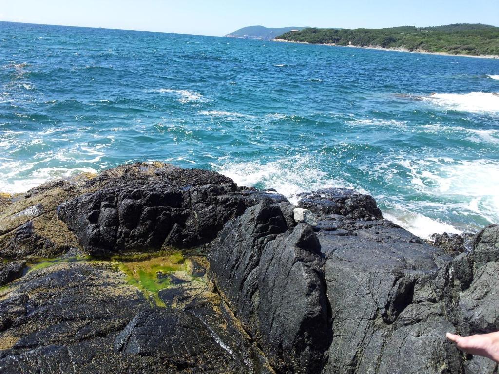 Albergo Miramare Castiglioncello Zewnętrze zdjęcie